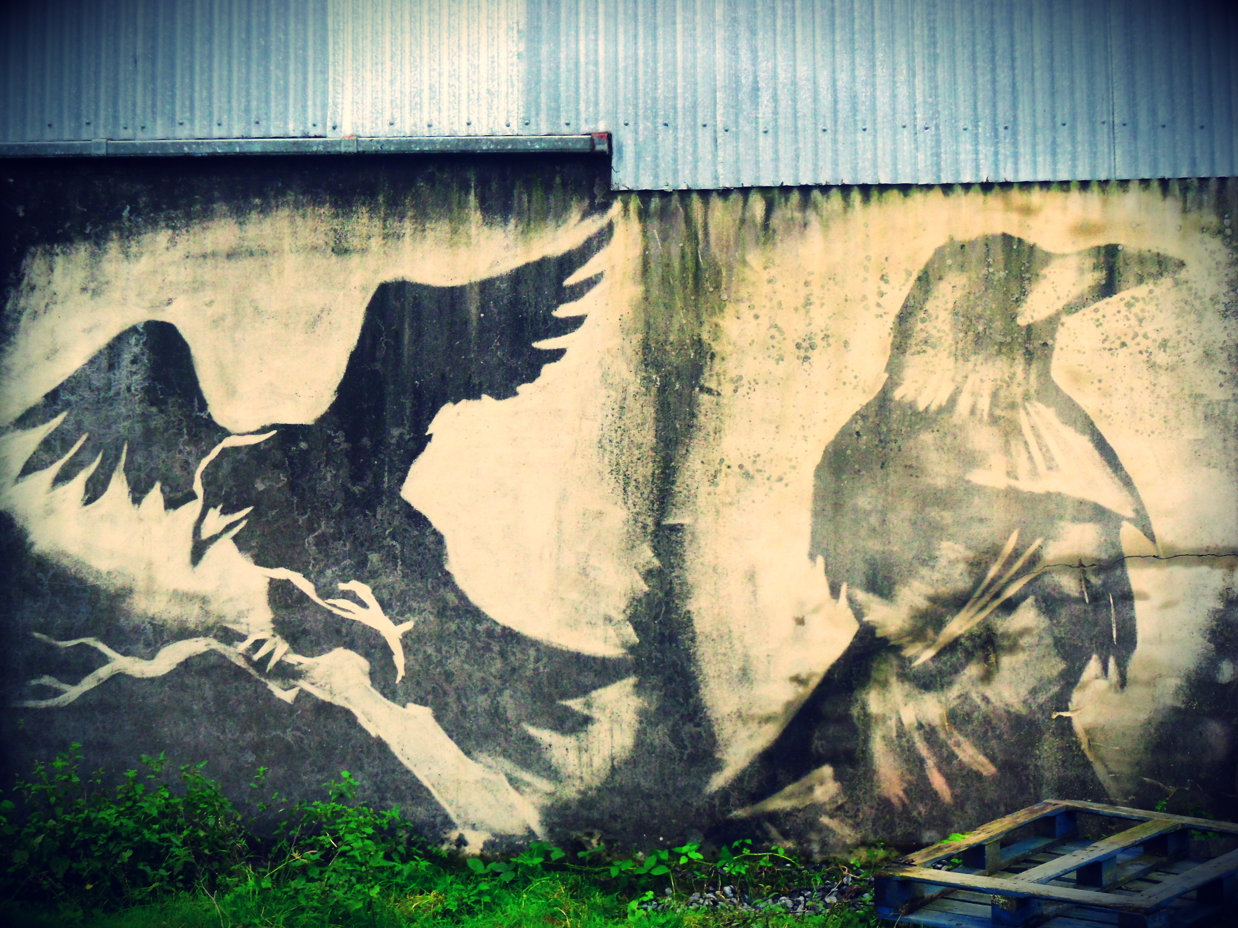 Powerhose Mural of Crows
