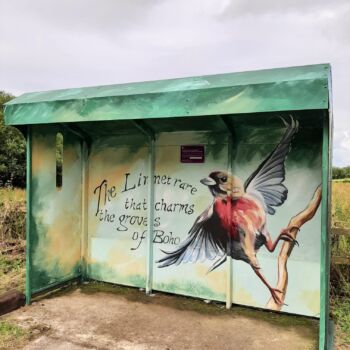 The Linnet Boho Bus Shelter Mural by Kevin McHugh